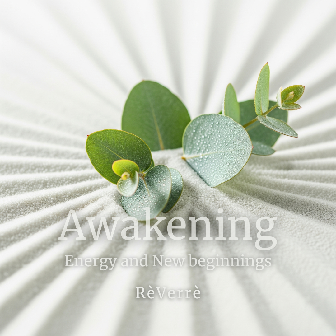 เทียนหอมเกล็ดหิมะ ReVerre - Awakening