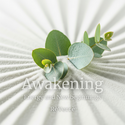 เทียนหอมเกล็ดหิมะ ReVerre - Awakening